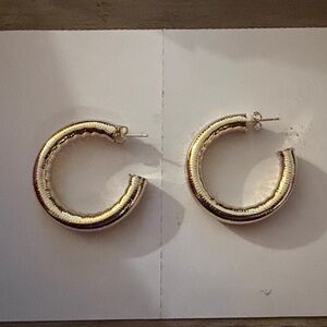 Elegant Gold Hoop Earrings